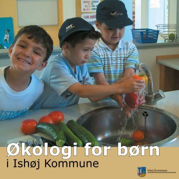 Økologi for børn - Økologi i skolen