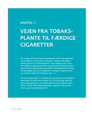 Vejen fra tobaksplante til færdige cigaretter - Gå op i røg