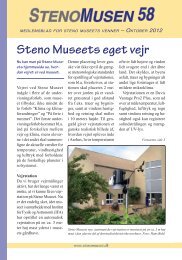 STENOMUSEN 58 - Steno Museet