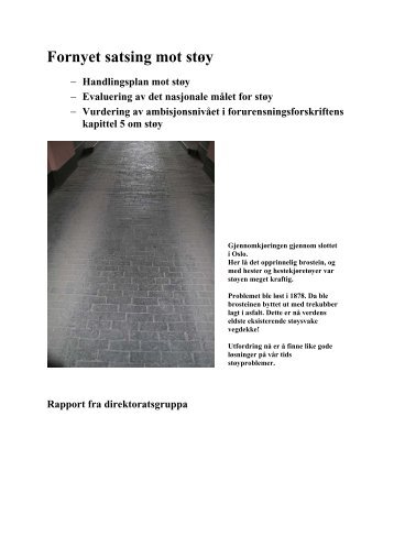 Fornyet satsing mot støy