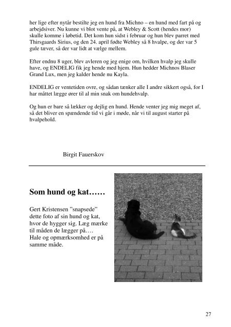 Hundeglam august 2010.pdf - DcH Vesthimmerland