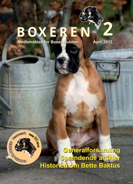 Boxeren 2-2012 - Boxerklubben