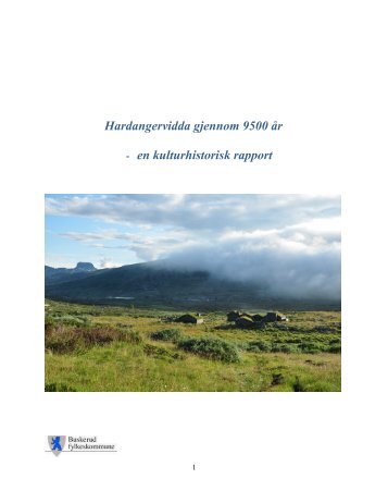 Hardangervidda gjennom 9500 år - Fylkesdelplan Hardangervidda