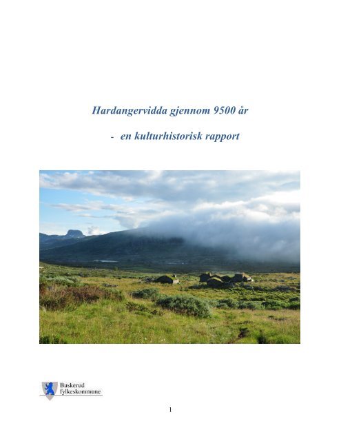 Hardangervidda gjennom 9500 år - Fylkesdelplan Hardangervidda