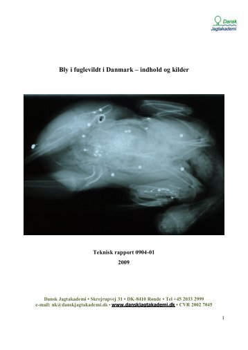 Bly i fuglevildt i Danmark – indhold og kilder - Dansk Jagtakademi