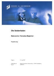 Ole Seidenfaden - Lolland Kommune