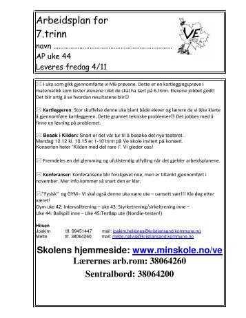 Arbeidsplan for - Minskole.no