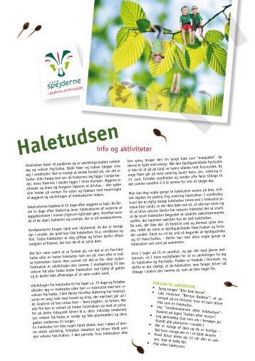 Haletudseninfo og aktiviteter - Spejdernet