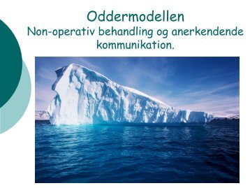 Oddermodellen