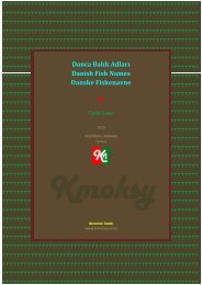 Bir Eskimo Dilinde Türkçenin İzleri - Kmoksy