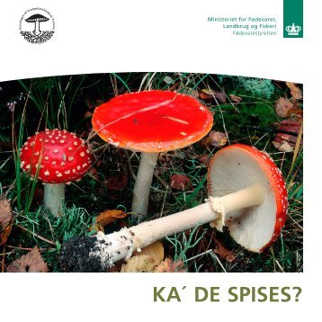 KA´ DE SPISES? - Fødevarestyrelsen