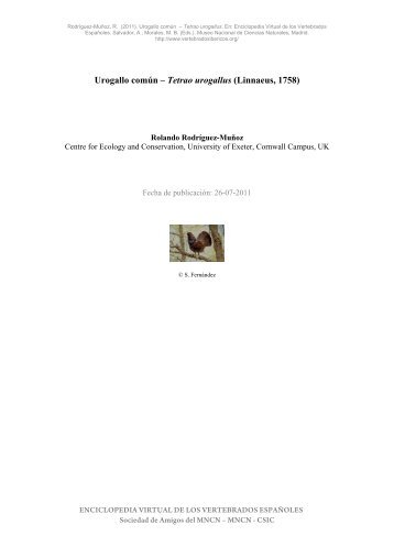 otra - Enciclopedia Virtual de los Vertebrados Españoles