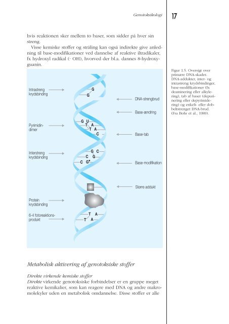 Download som PDF her - Det Nationale Forskningscenter for ...