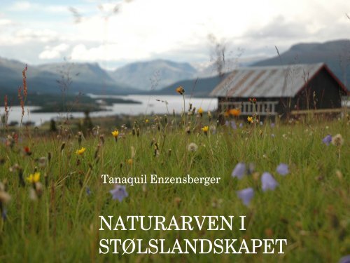 Naturarven på stølen