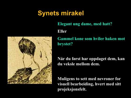 Hjerneceller - Origo Norge