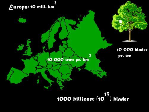 Hjerneceller - Origo Norge