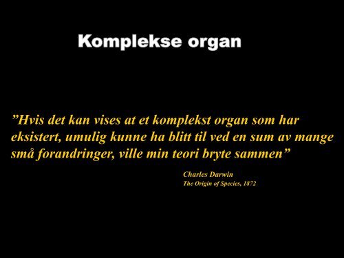 Hjerneceller - Origo Norge