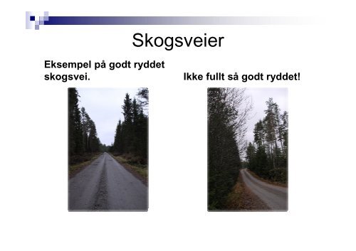 AØV-Egil Syversen - Havass Skog BA