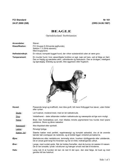 PDF-file: Beagle - Dansk Kennel Klub