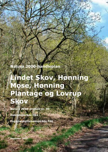 Natura 2000-handleplan: Lindet Skov - Haderslev Kommune