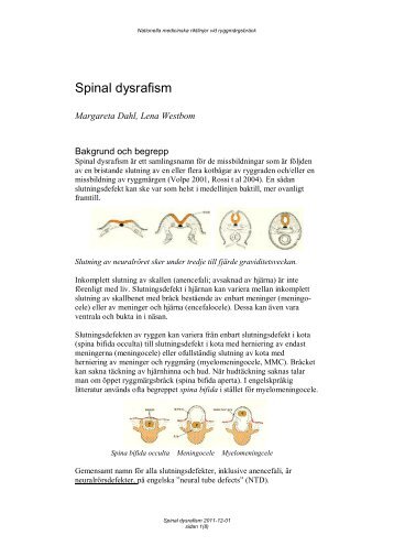 Spinal dysrafism - BLF
