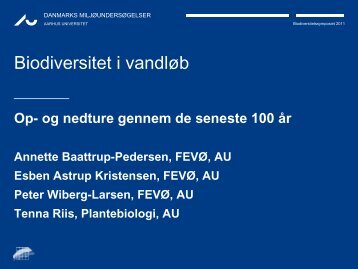 Biodiversitet i vandløb