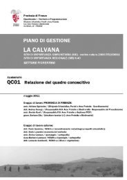 Q.C. 1 - Relazione del Quadro Conoscitivo - Provincia di Firenze