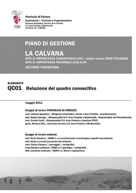 Q.C. 1 - Relazione del Quadro Conoscitivo - Provincia di Firenze
