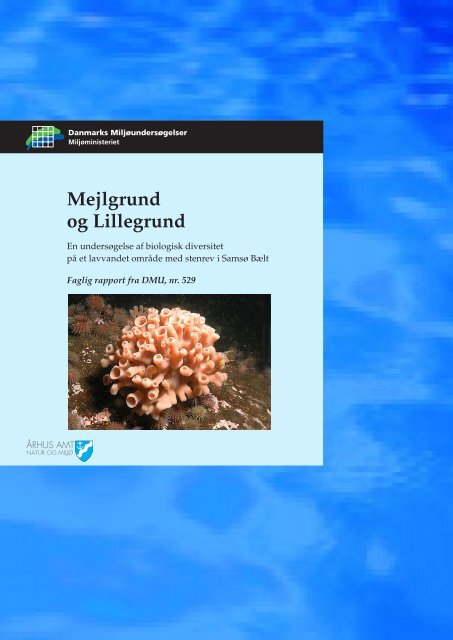 Mejlgrund og Lillegrund - En undersøgelse af biologisk diversitet på ...