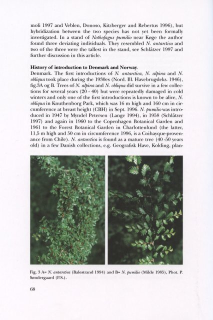 Volume 15 (1997) - Dansk Dendrologisk Forening