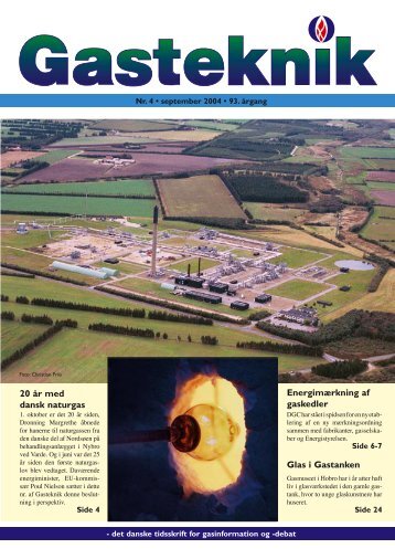 Gasteknik nr. 4, september 2004 [PDF] - Dansk Gas Forening