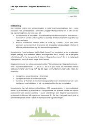 Den nye direktion i Slagelse Kommune 2011 Indledning
