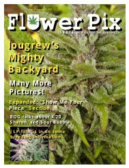 Issue #3