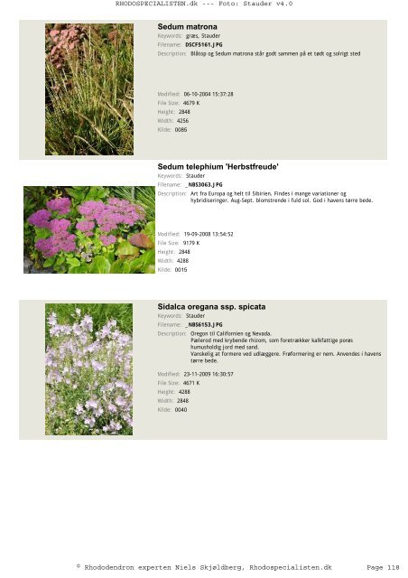 Stauder - Rhodospecialisten.dk