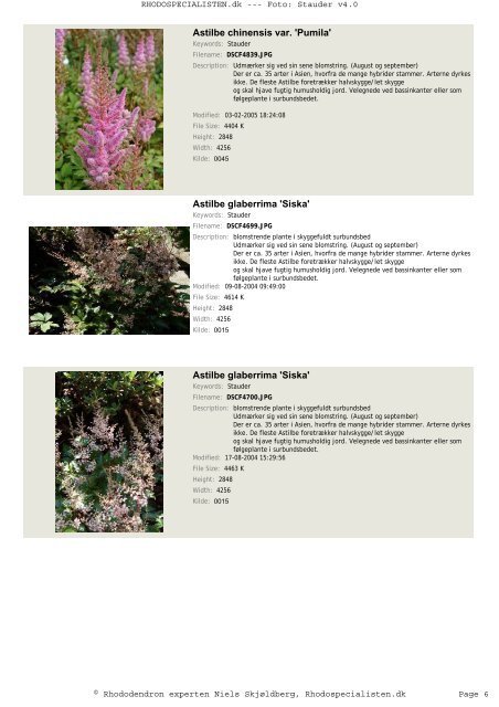 Stauder - Rhodospecialisten.dk