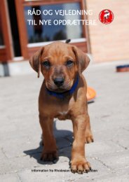 Råd og vejledning til nye opdrættere - Rhodesian Ridgeback ...