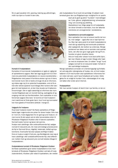 Råd og vejledning til nye opdrættere - Rhodesian Ridgeback ...