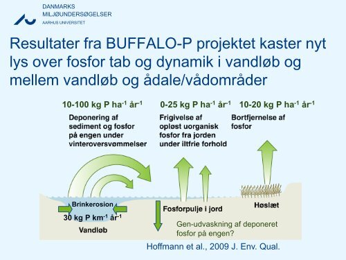 Hvordan udformes brinken mest optimalt af hensyn ... - LandbrugsInfo