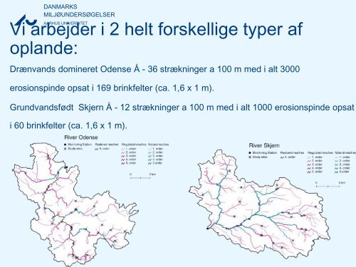 Hvordan udformes brinken mest optimalt af hensyn ... - LandbrugsInfo