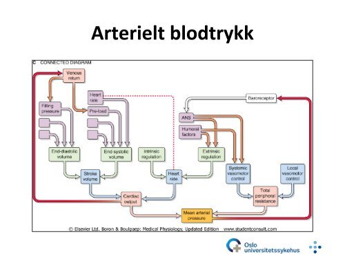 Postoperativ sykepleie etter hjertekirurgi - Intensivt i Oslo