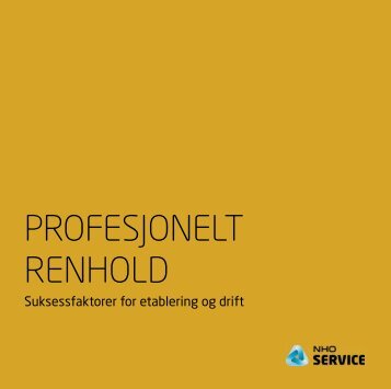 PROFESJONELT RENHOLD - NHO Service