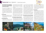Tyskland Y Rhinen · Rüdesheim - Tigerrejser