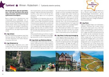 Tyskland Y Rhinen · Rüdesheim - Tigerrejser