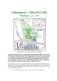 Velkommen i VØGAS-LUND Plantage etabl. 1910 - Vejrup Sognearkiv