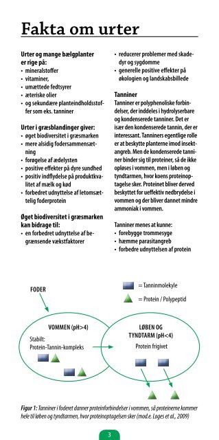 Frøsalgets urtehefte - Økologisk Landsforening