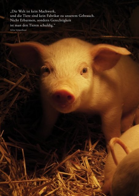 abgedruckte Postkarte auf Seite 27 - Menschen für Tierrechte ...