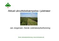 Jan Jürgensen - Danske Juletræer
