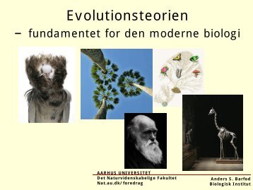 Evolutionsteorien - Aarhus Universitet