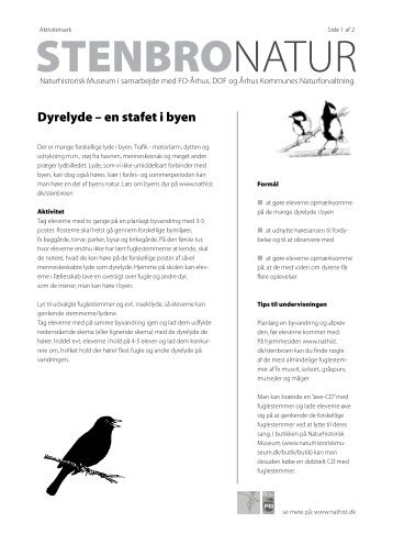 Dyrelyde – en stafet i byen - Naturhistorisk Museum