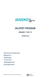 Valgfrit program Forår 2013 - Akademiet for Talentfulde Unge